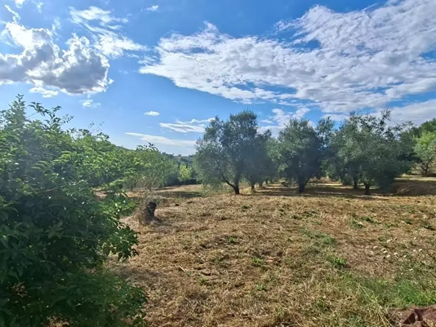 Immagine 3 di Terreno residenziale in vendita  a Capannoli