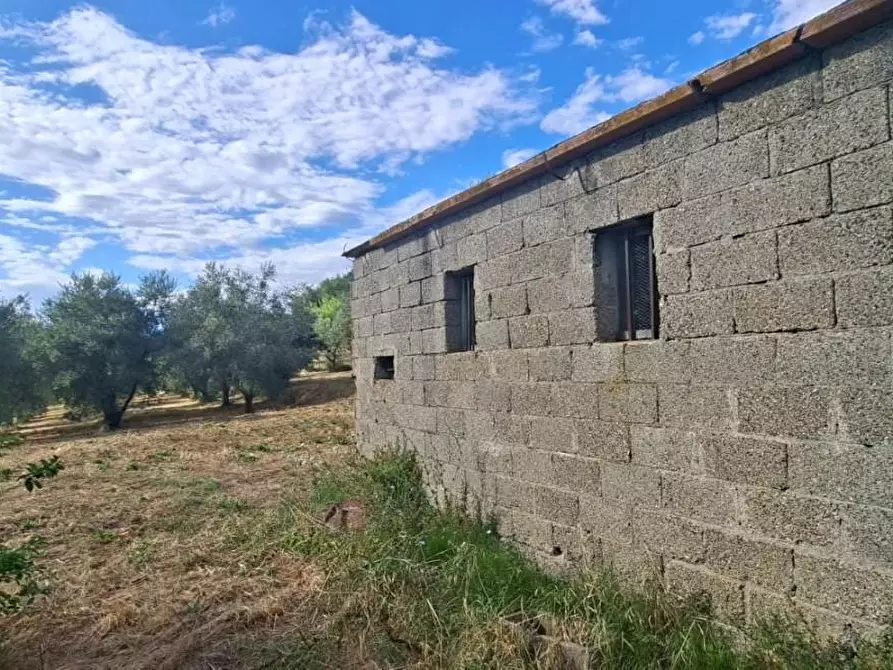 Immagine 8 di Terreno residenziale in vendita  a Capannoli
