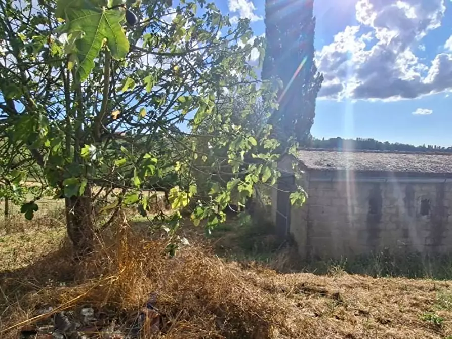 Immagine 1 di Terreno residenziale in vendita  a Capannoli