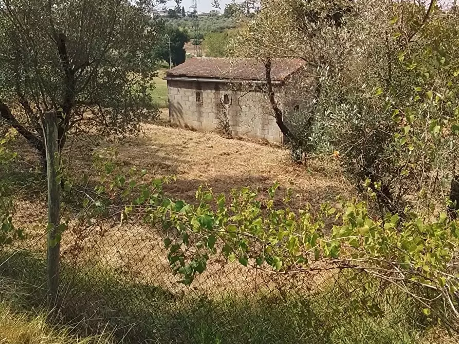 Immagine 28 di Terreno residenziale in vendita  a Capannoli