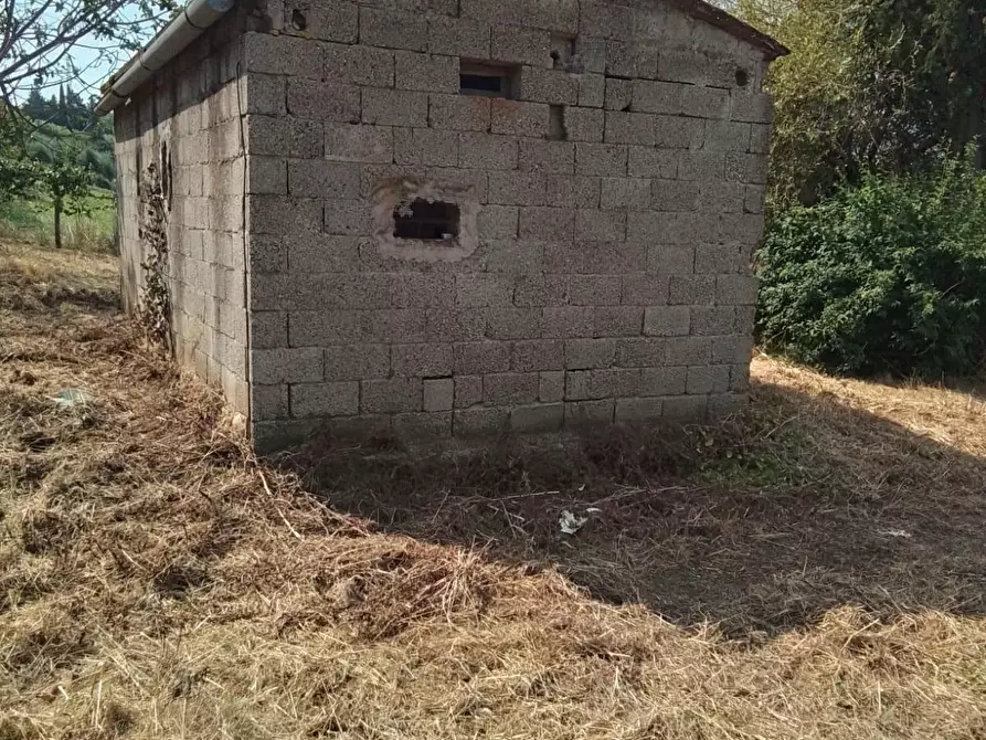 Immagine 3 di Terreno residenziale in vendita  a Capannoli