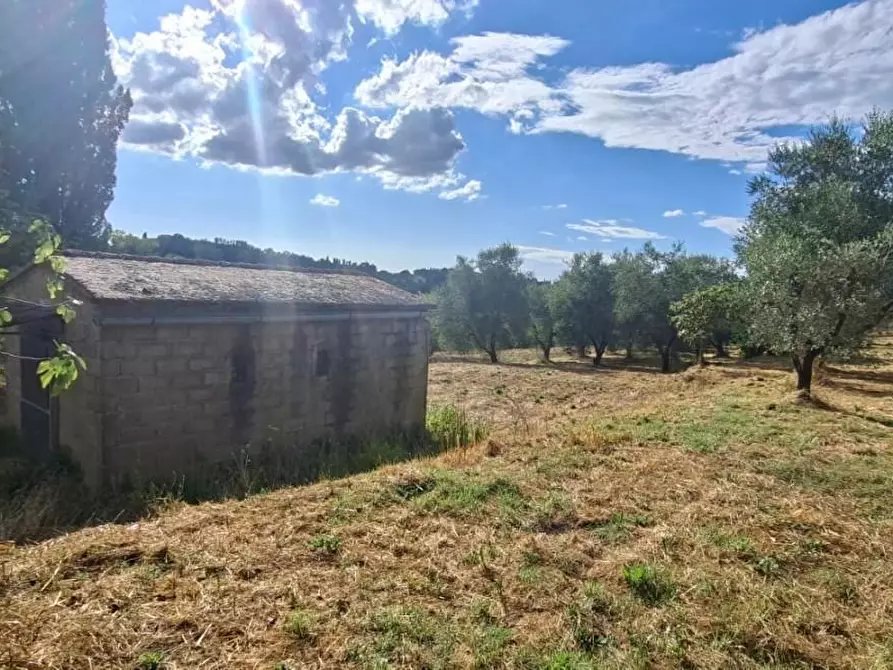 Immagine 2 di Terreno residenziale in vendita  a Capannoli
