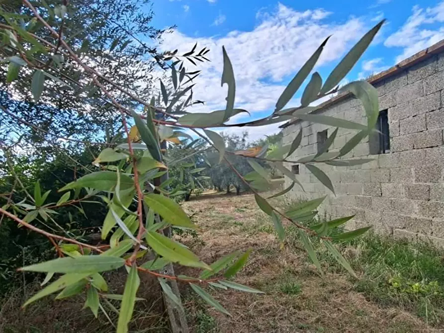 Immagine 7 di Terreno residenziale in vendita  a Capannoli