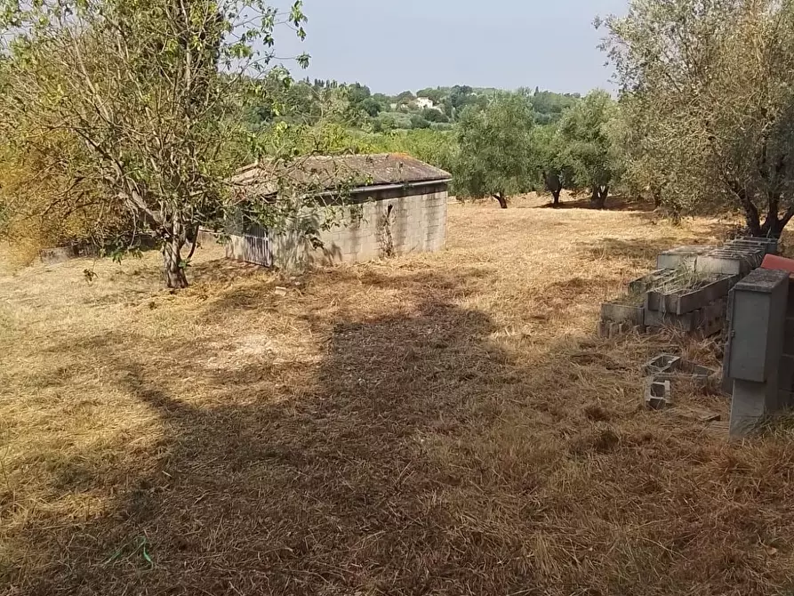 Immagine 38 di Terreno residenziale in vendita  a Capannoli