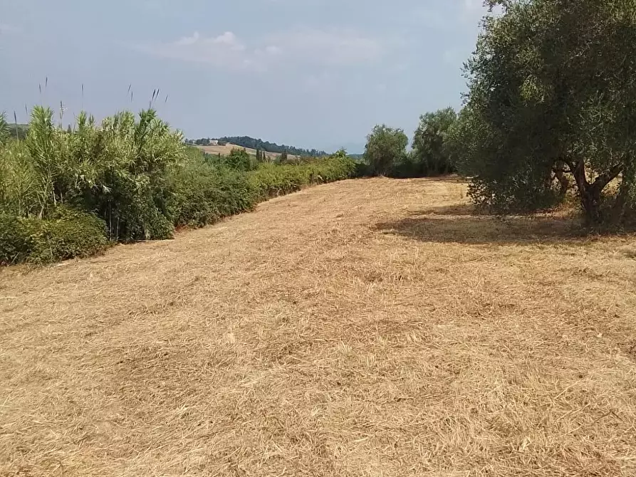 Immagine 33 di Terreno residenziale in vendita  a Capannoli