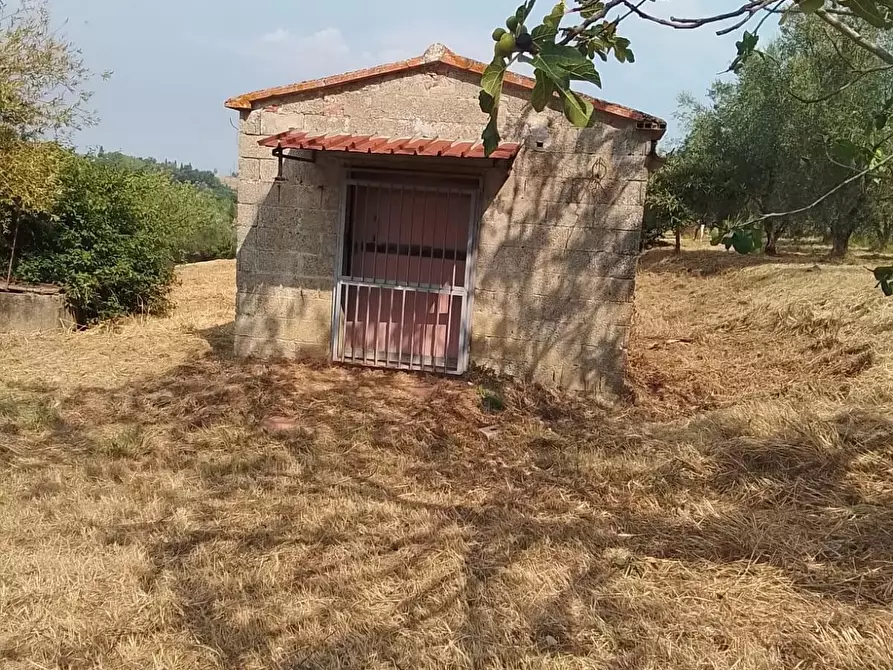 Immagine 39 di Terreno residenziale in vendita  a Capannoli