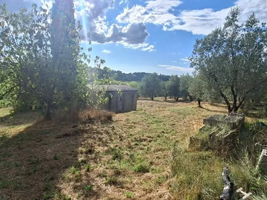 Immagine 5 di Terreno residenziale in vendita  a Capannoli