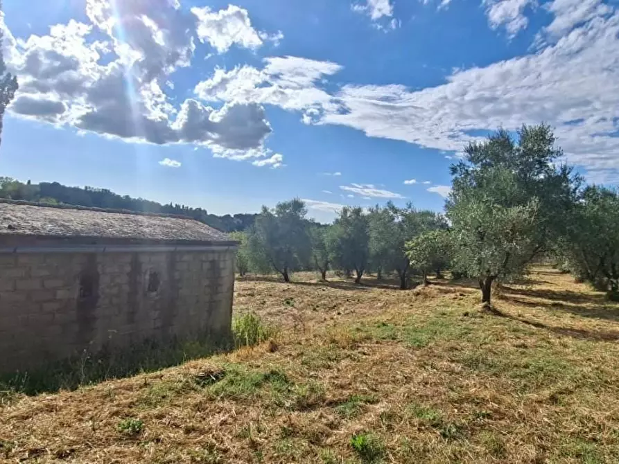 Immagine 13 di Terreno residenziale in vendita  a Capannoli