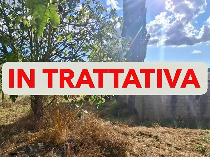 Immagine 1 di Terreno residenziale in vendita  a Capannoli