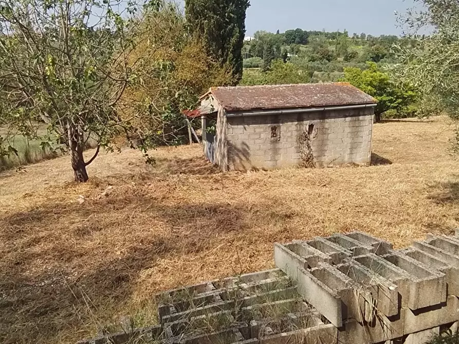 Immagine 40 di Terreno residenziale in vendita  a Capannoli