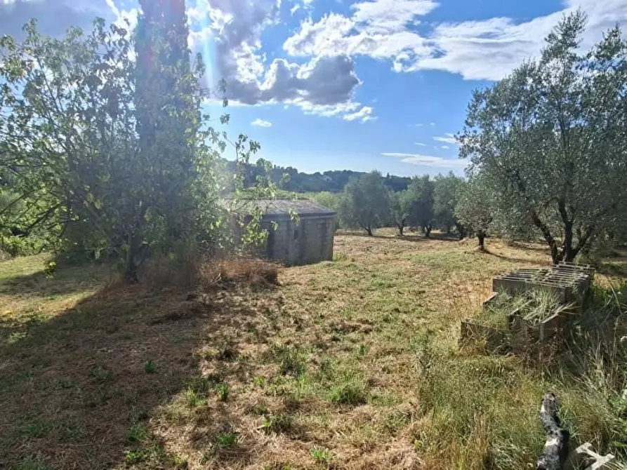 Immagine 12 di Terreno residenziale in vendita  a Capannoli