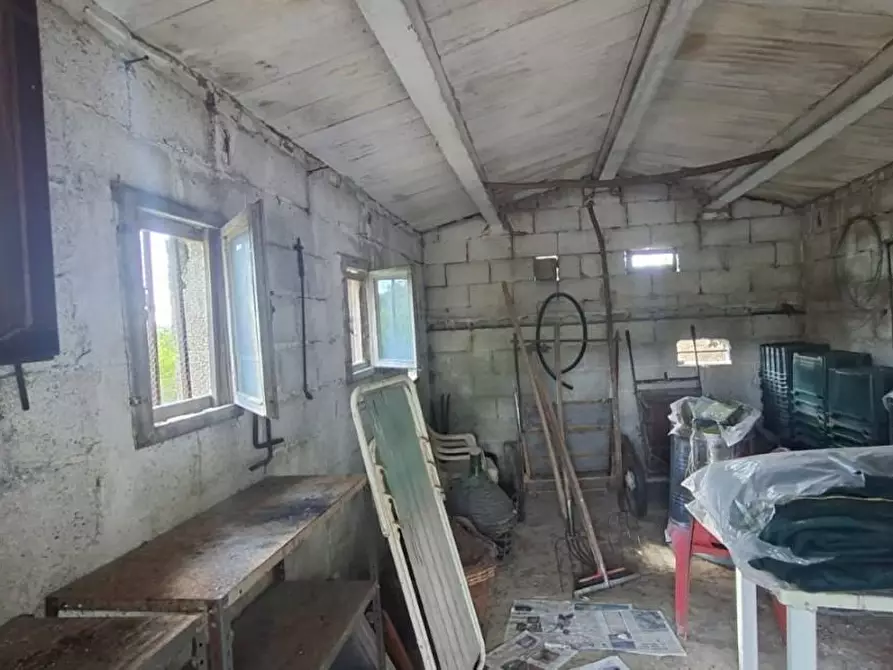 Immagine 11 di Terreno residenziale in vendita  a Capannoli