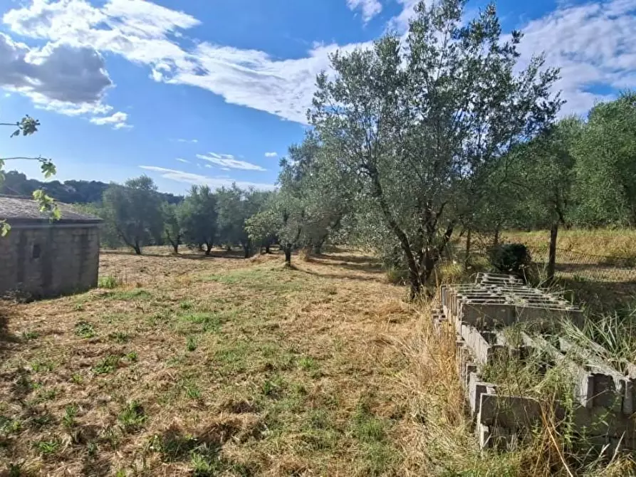 Immagine 10 di Terreno residenziale in vendita  a Capannoli