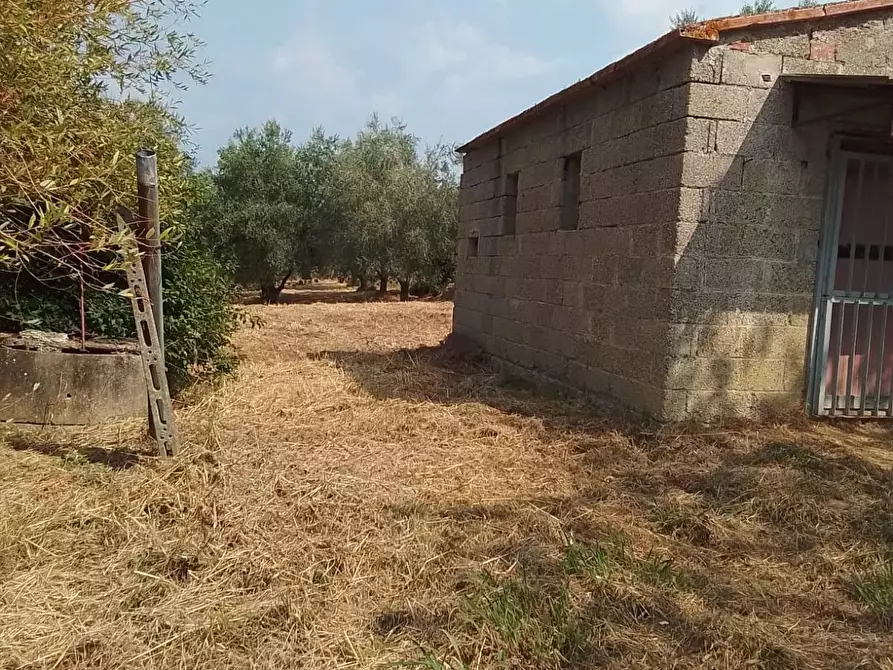 Immagine 26 di Terreno residenziale in vendita  a Capannoli