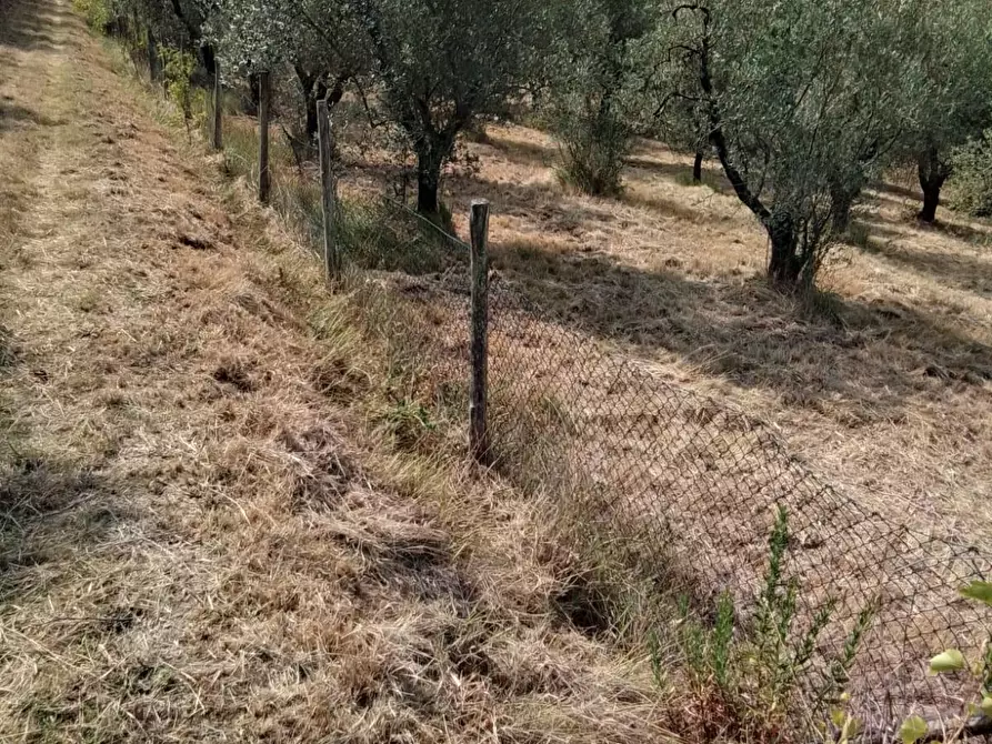Immagine 23 di Terreno residenziale in vendita  a Capannoli