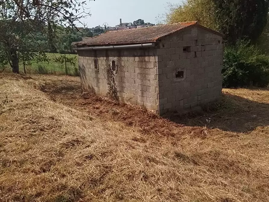 Immagine 27 di Terreno residenziale in vendita  a Capannoli