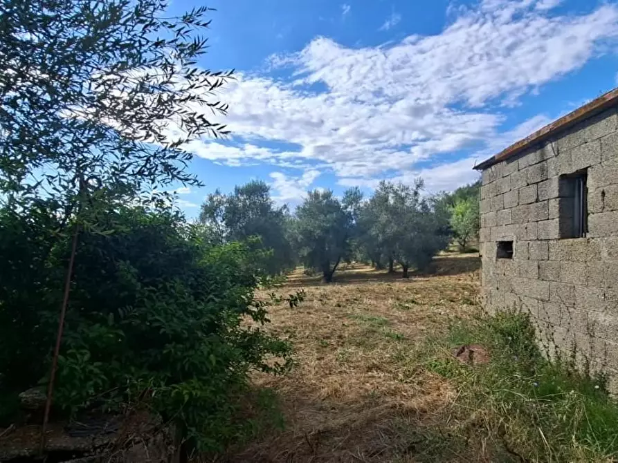 Immagine 6 di Terreno residenziale in vendita  a Capannoli