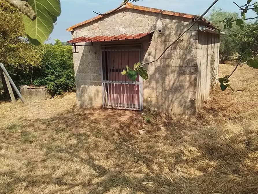 Immagine 2 di Terreno residenziale in vendita  a Capannoli