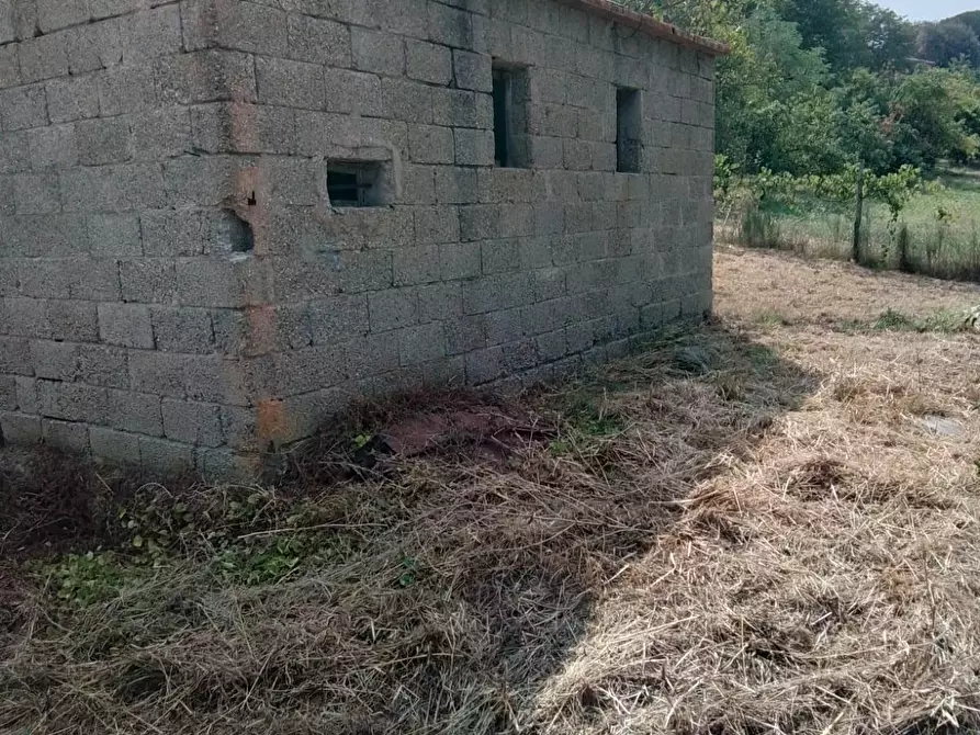Immagine 35 di Terreno residenziale in vendita  a Capannoli