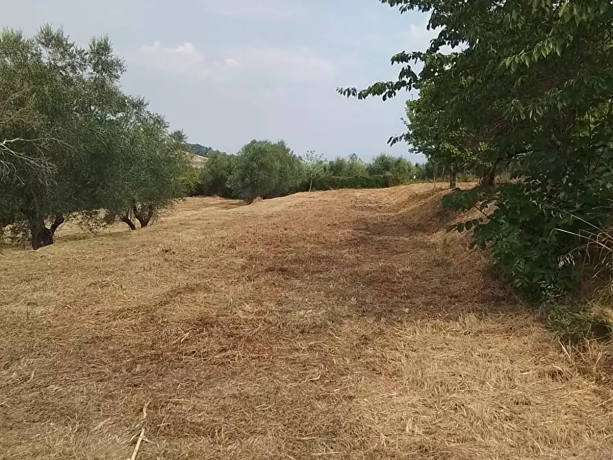 Immagine 29 di Terreno residenziale in vendita  a Capannoli