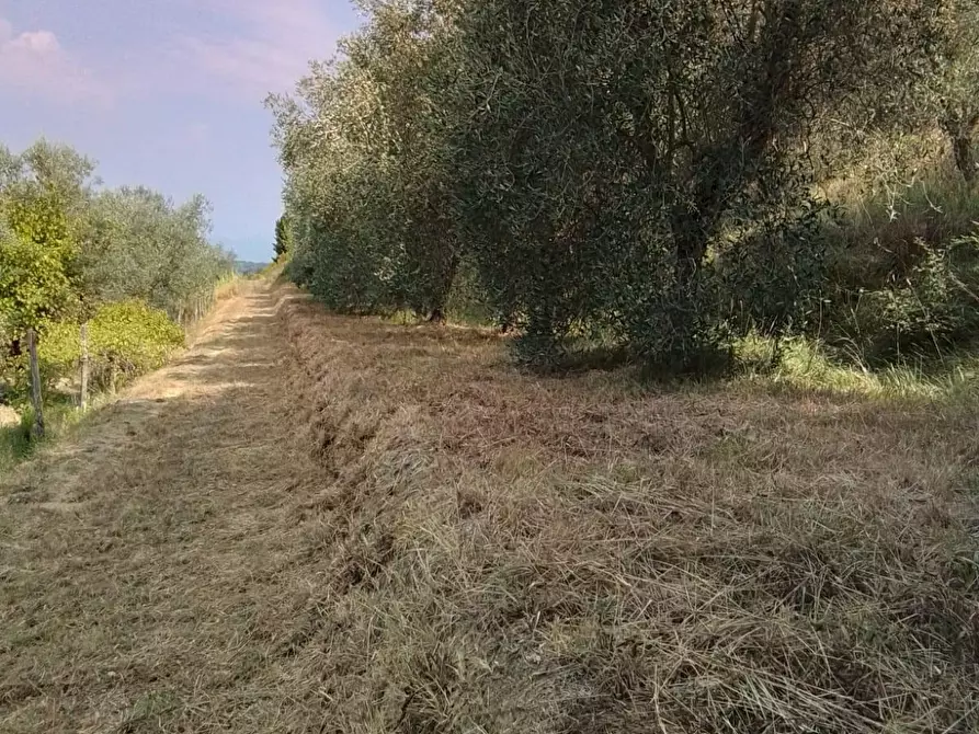 Immagine 24 di Terreno residenziale in vendita  a Capannoli