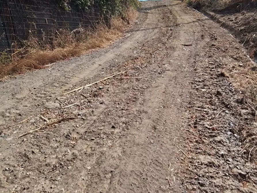 Immagine 31 di Terreno residenziale in vendita  a Capannoli