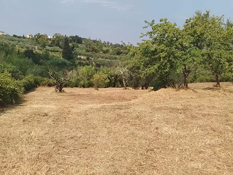 Immagine 22 di Terreno residenziale in vendita  a Capannoli