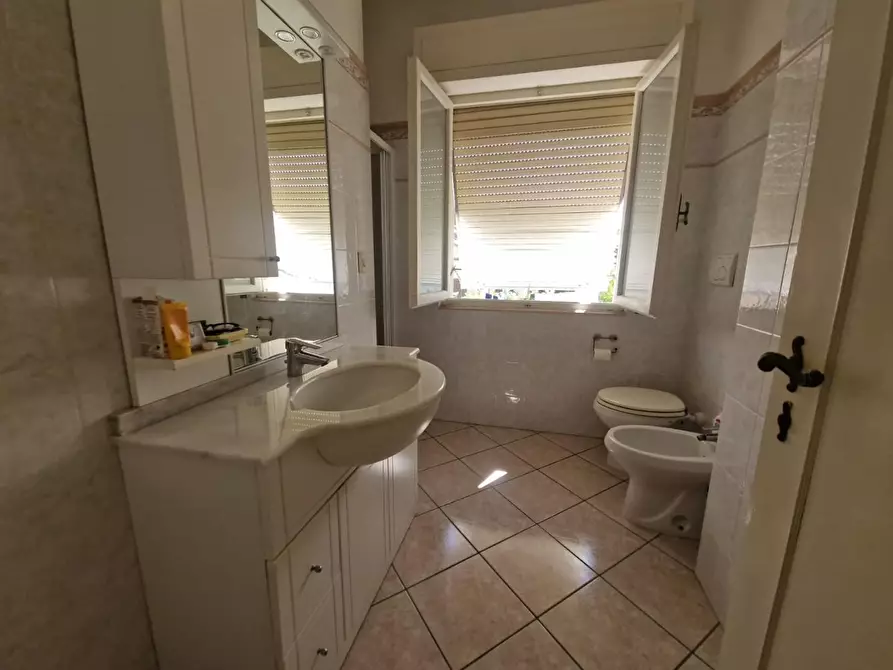 Immagine 17 di Casa quadrifamiliare in vendita  a Rosignano Marittimo