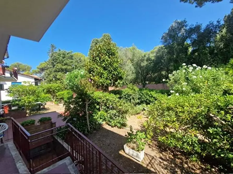 Immagine 3 di Casa quadrifamiliare in vendita  a Rosignano Marittimo