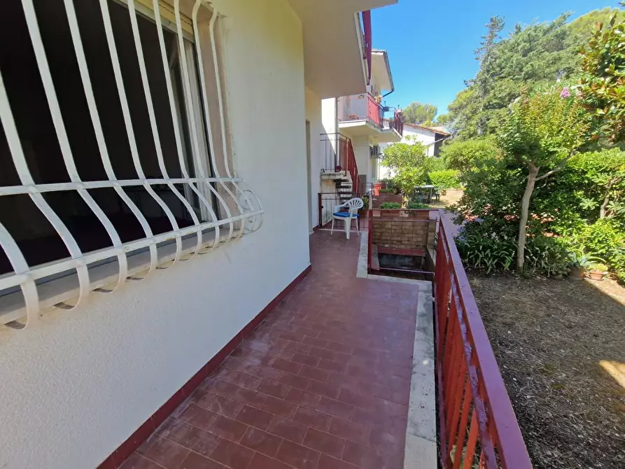 Immagine 4 di Casa quadrifamiliare in vendita  a Rosignano Marittimo