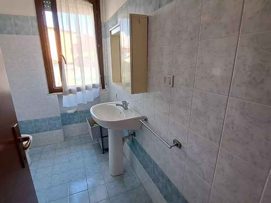 Immagine 11 di Appartamento in vendita  a Rosignano Marittimo