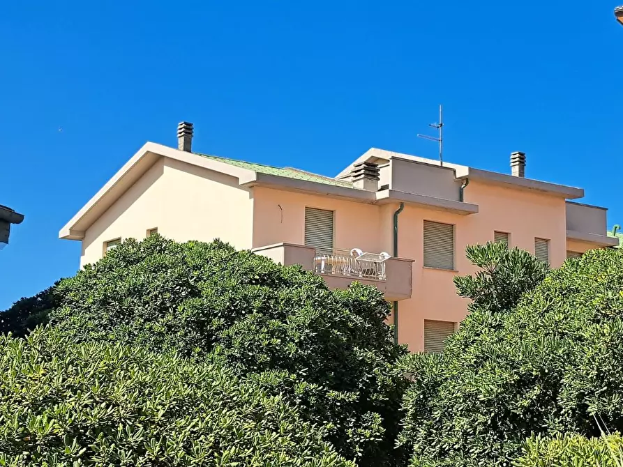 Immagine 3 di Appartamento in vendita  a Rosignano Marittimo