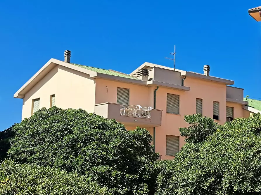 Immagine 3 di Appartamento in vendita  a Rosignano Marittimo