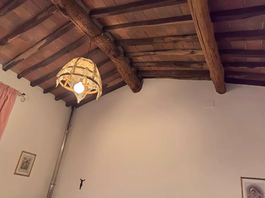 Immagine 17 di Rustico / casale in vendita  a Buti