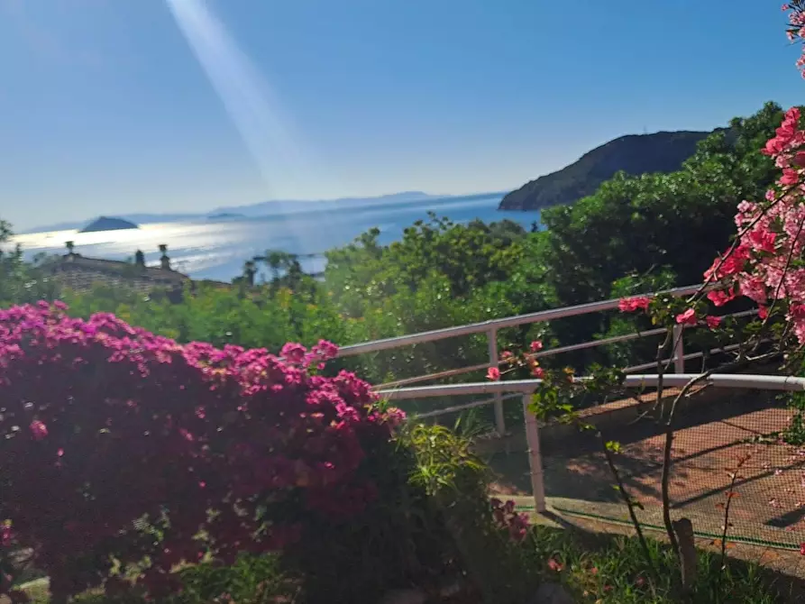 Immagine 38 di Appartamento in vendita  a Rio Marina