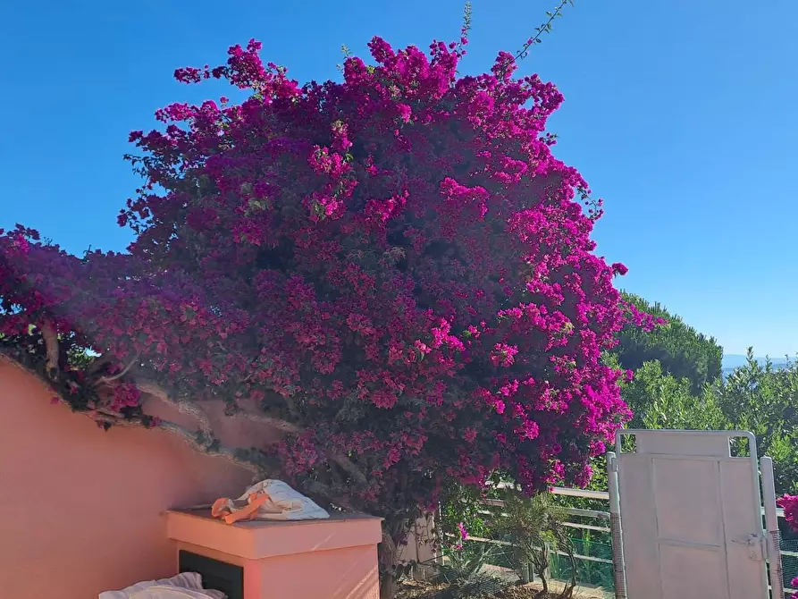 Immagine 28 di Appartamento in vendita  a Rio Marina