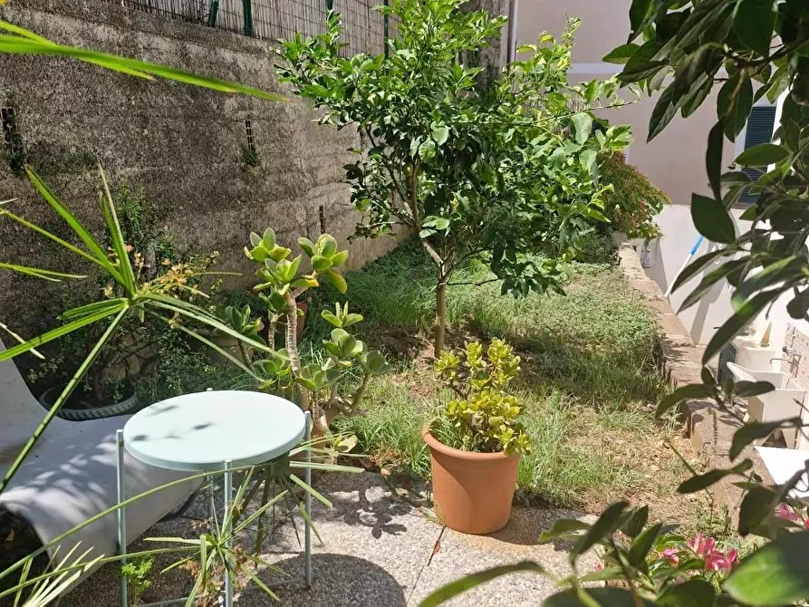 Immagine 18 di Appartamento in vendita  a Rio Marina