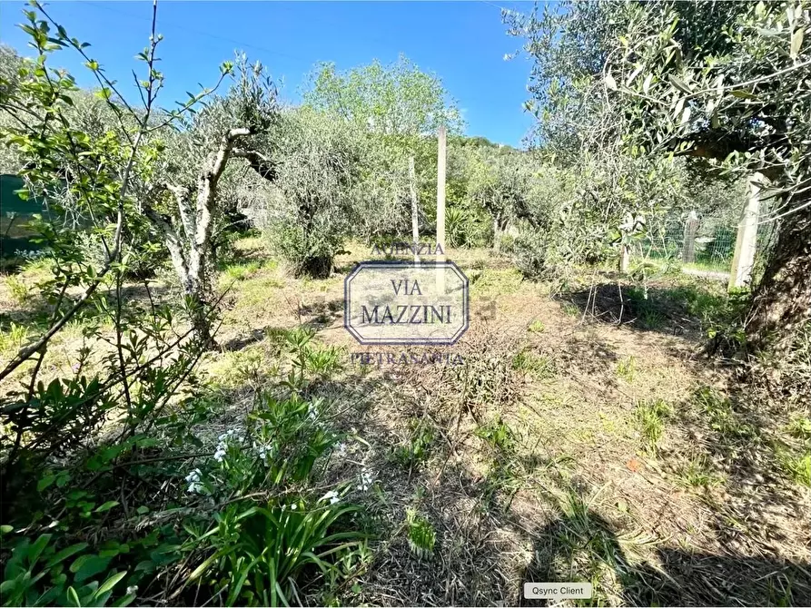 Immagine 17 di Casa bifamiliare in vendita  a Pietrasanta