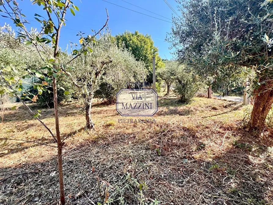 Immagine 16 di Casa bifamiliare in vendita  a Pietrasanta