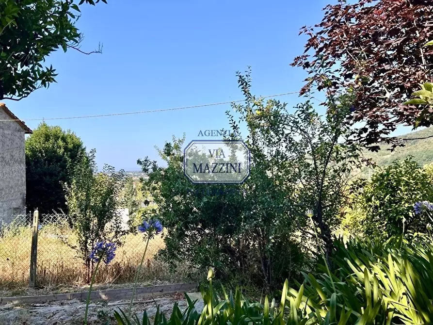 Immagine 13 di Casa bifamiliare in vendita  a Pietrasanta