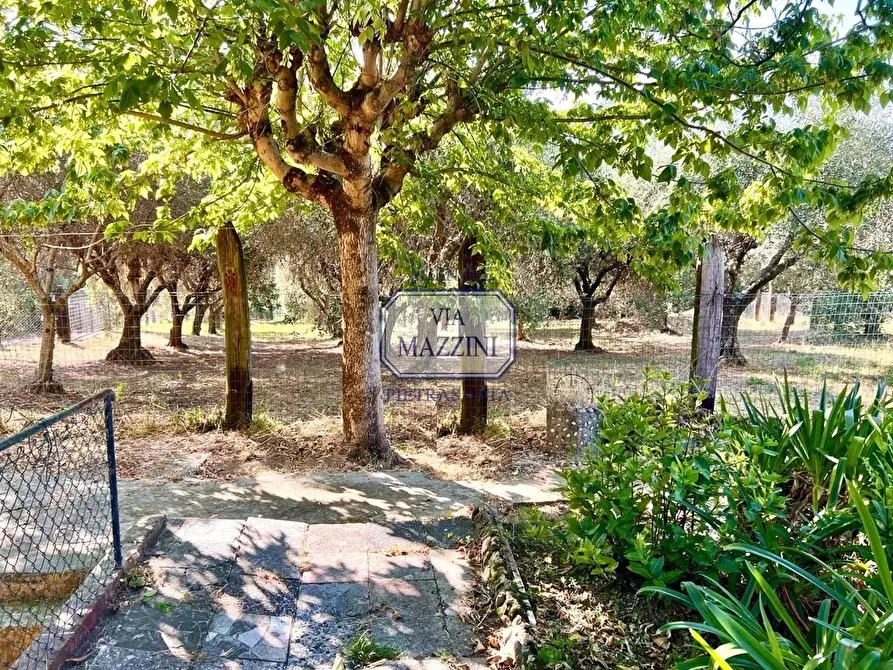 Immagine 15 di Casa bifamiliare in vendita  a Pietrasanta