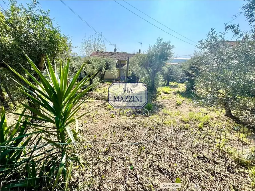 Immagine 10 di Casa bifamiliare in vendita  a Pietrasanta
