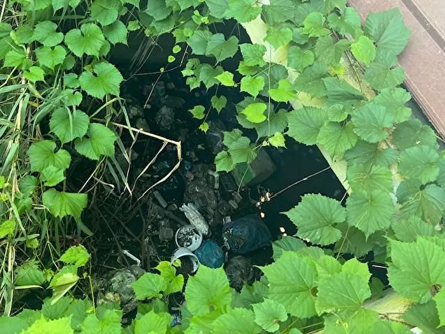 Immagine 8 di Casa indipendente in vendita  a Massa