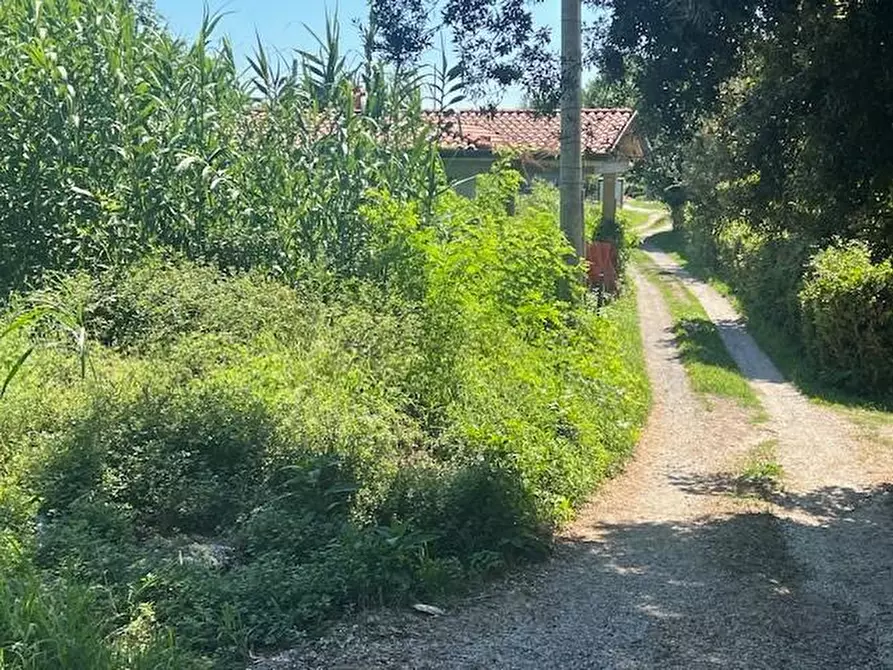 Immagine 9 di Casa indipendente in vendita  a Massa