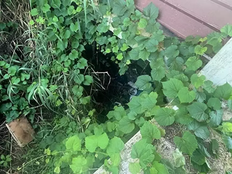 Immagine 7 di Casa indipendente in vendita  a Massa