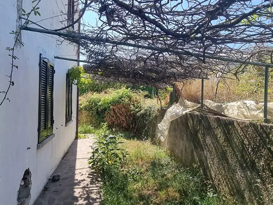 Immagine 11 di Appartamento in vendita  a Marciana Marina