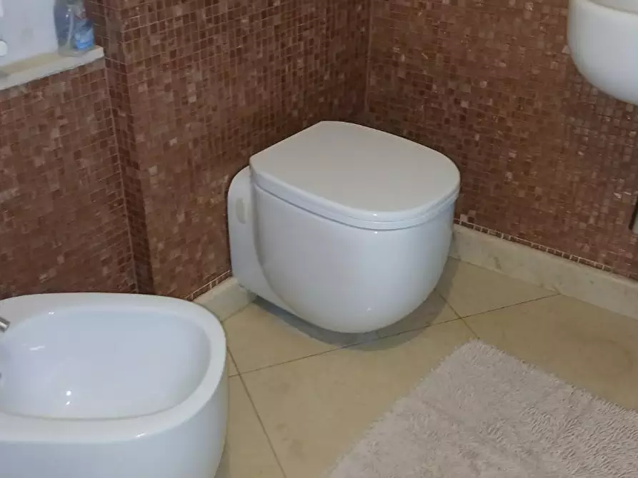 Immagine 39 di Terratetto in vendita  a Massa