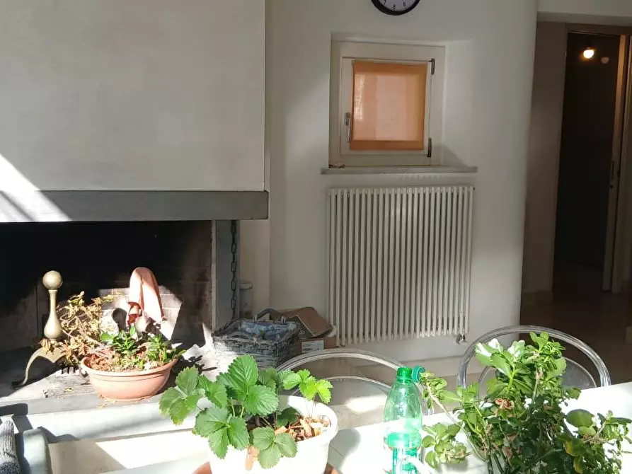 Immagine 45 di Terratetto in vendita  a Massa