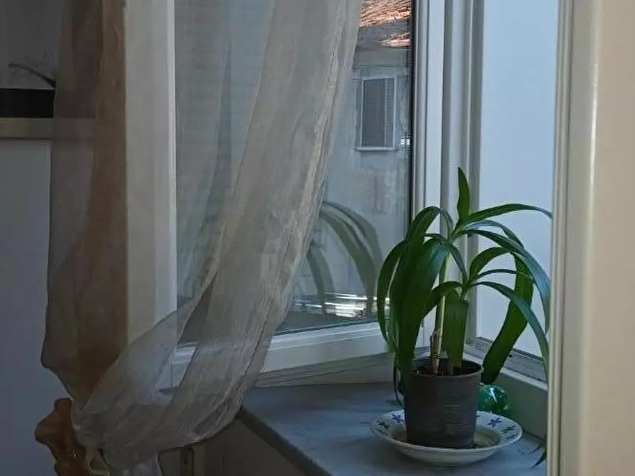 Immagine 49 di Terratetto in vendita  a Massa