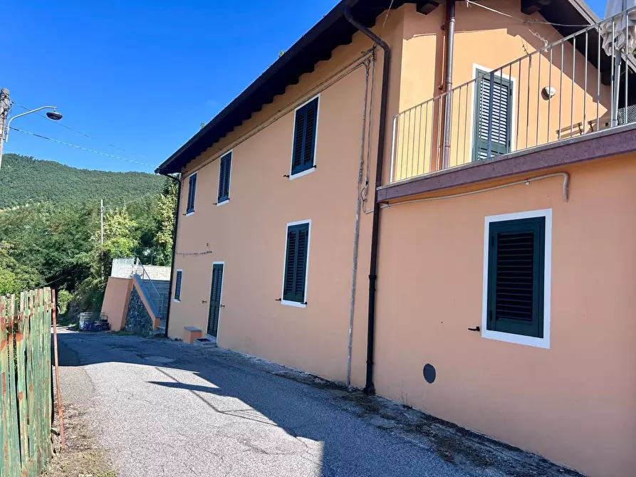 Immagine 33 di Casa indipendente in vendita  a Fivizzano